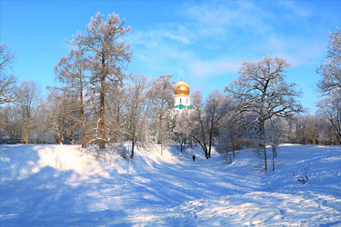 Similar image 21246733