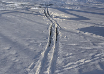 Similar image 21249293