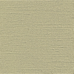 Similar image 21246599