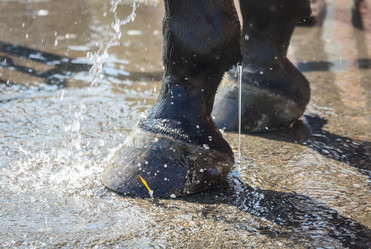 Similar image 21249424