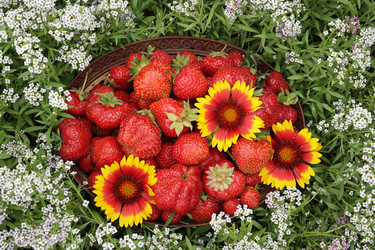 Similar image 21246538