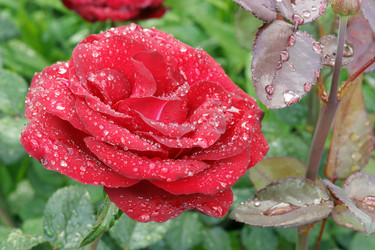 Similar image 21246539