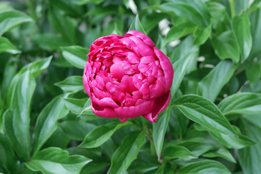 Similar image 21246541