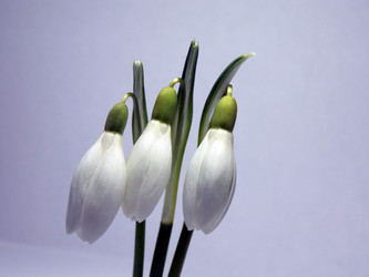 Similar image 21246367