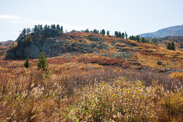 Similar image 21249538