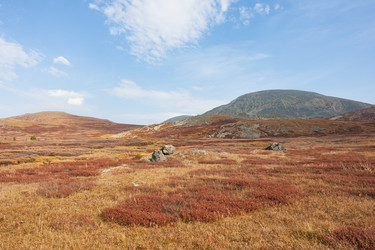 Similar image 21249540