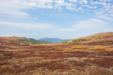 Similar image 21249541