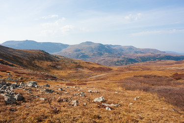 Similar image 21249543