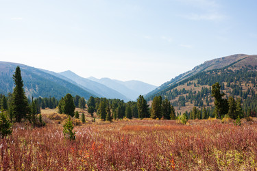 Similar image 21249547