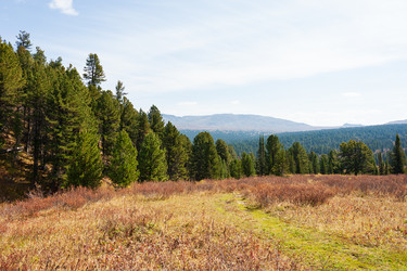 Similar image 21249549