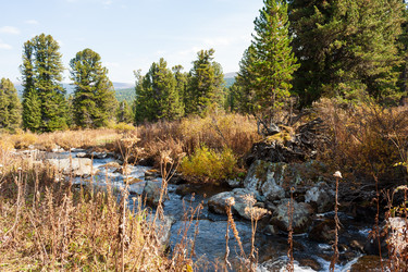 Similar image 21249550