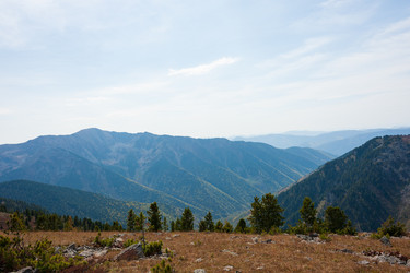 Similar image 21249552