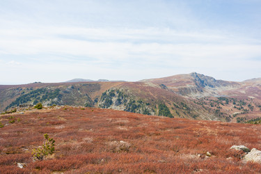 Similar image 21249553