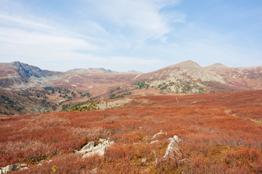 Similar image 21249554