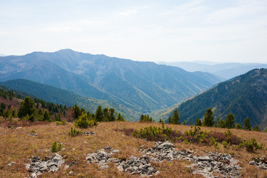 Similar image 21249555