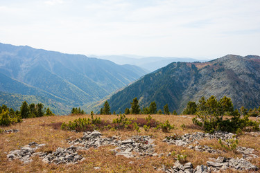 Similar image 21249556