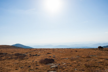 Similar image 21249559