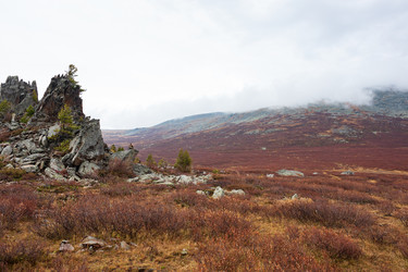 Similar image 21249560