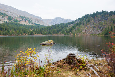 Similar image 21251484