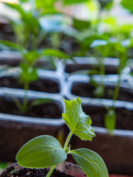 Similar image 21251945