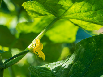 Similar image 21251949