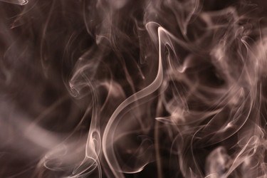 Similar image 21253021