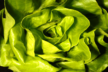 Similar image 21249300