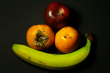 Similar image 21249301