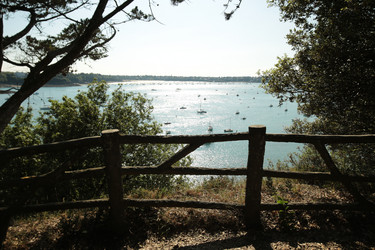 Similar image 21249302