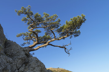 Similar image 21249308