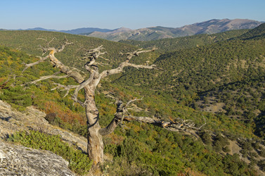 Similar image 21249310