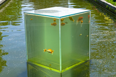 Similar image 21249312