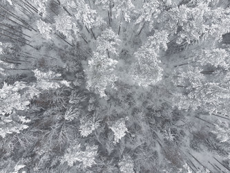 Similar image 21256725