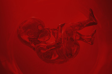 Similar image 21256766