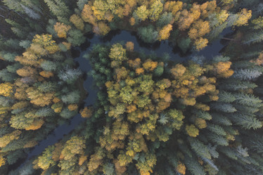 Similar image 21256774