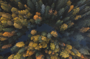 Similar image 21256794