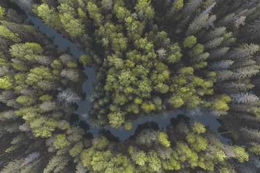 Similar image 21256798