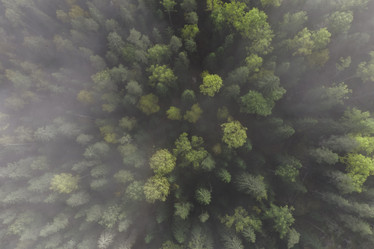 Similar image 21256808