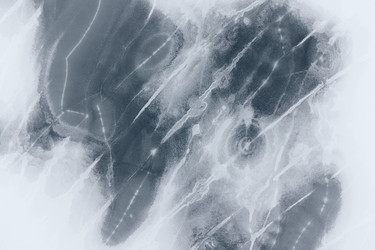 Similar image 21256809