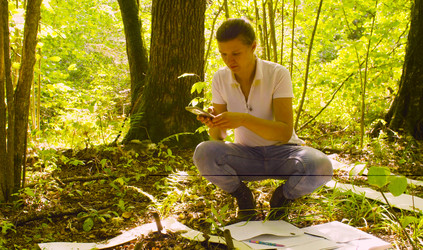 Similar image 21249684