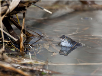 Similar image 21249687