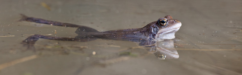 Similar image 21249688