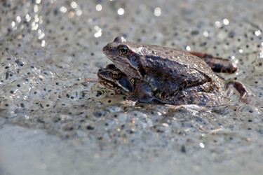 Similar image 21249689