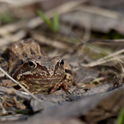 Similar image 21249991