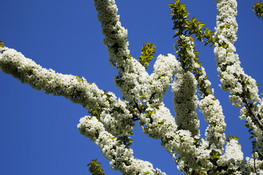 Similar image 21249325