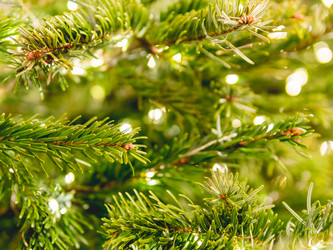 Similar image 21252203