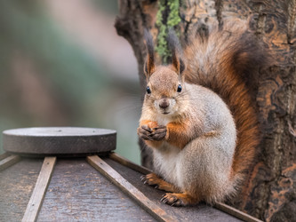 Similar image 21252207