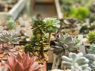 Similar image 21252208