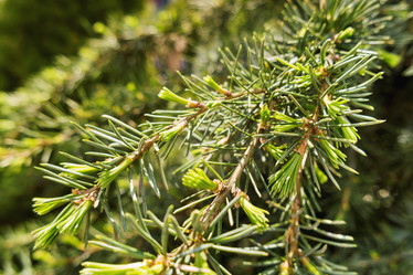 Similar image 21252210