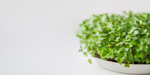 Similar image 21252227